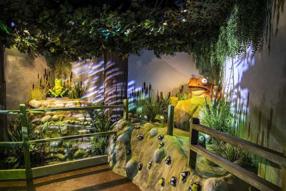 Chessington-Room-on-the-Broom_scene