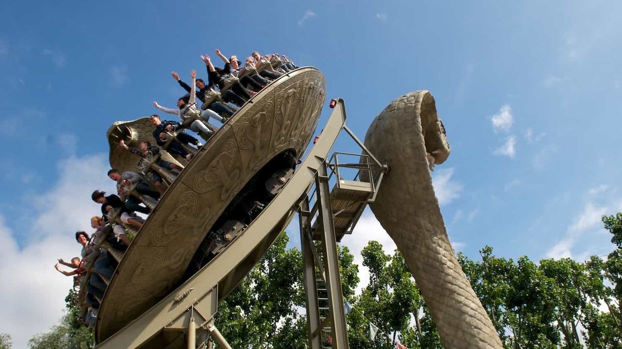 chessington world of adventures kobra