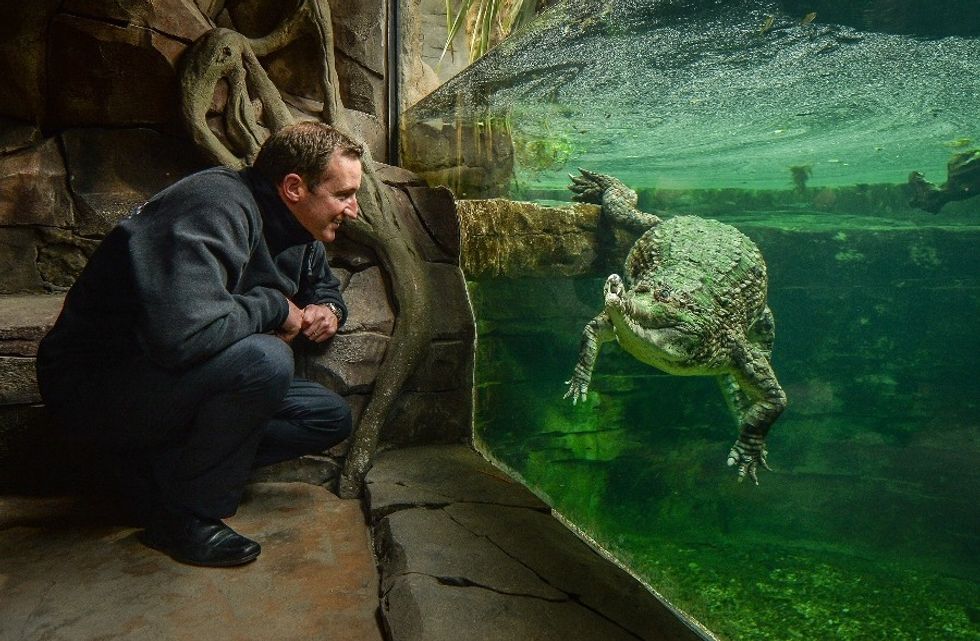 Chester Zoo breaks UK zoo record with 1.89m visitors in 2016