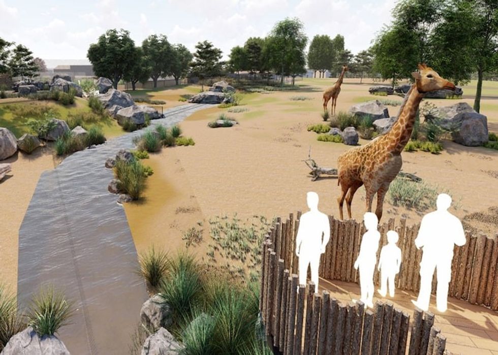 chester zoo grasslands