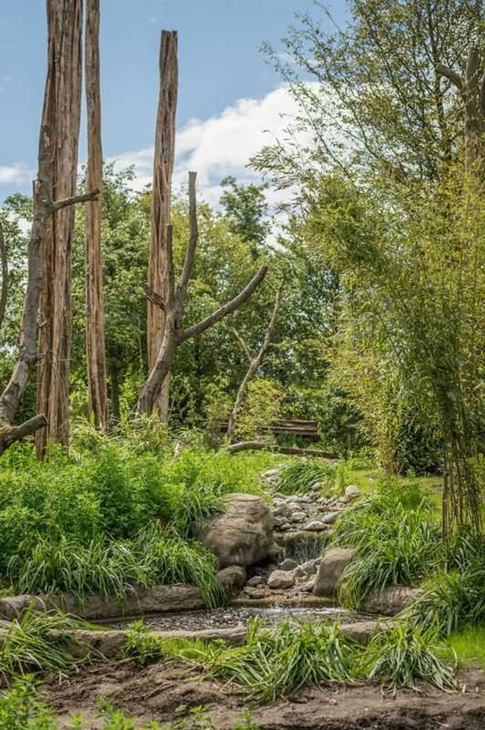 Chester Zoo, ISLANDS