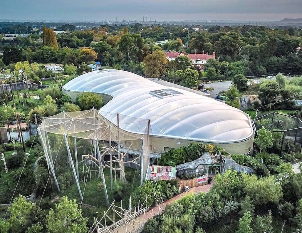 chester zoo monsoon forest