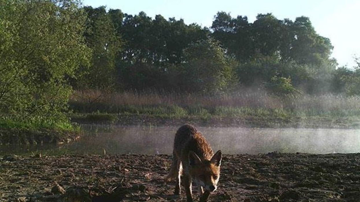 Chester Zoo nature reserve