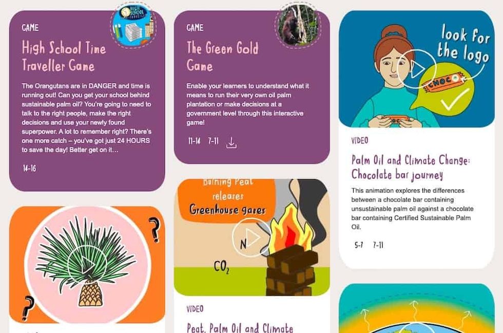 Chester Zoo Palm Oil resources