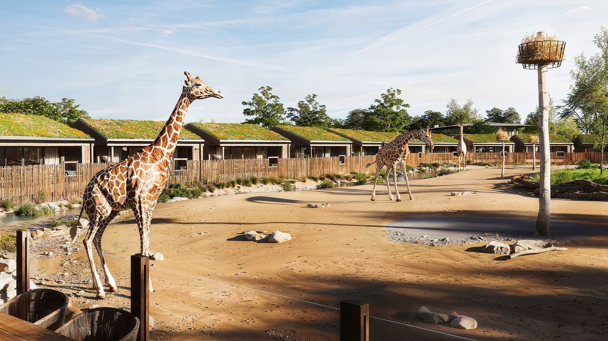 chester zoo the reserve lodges