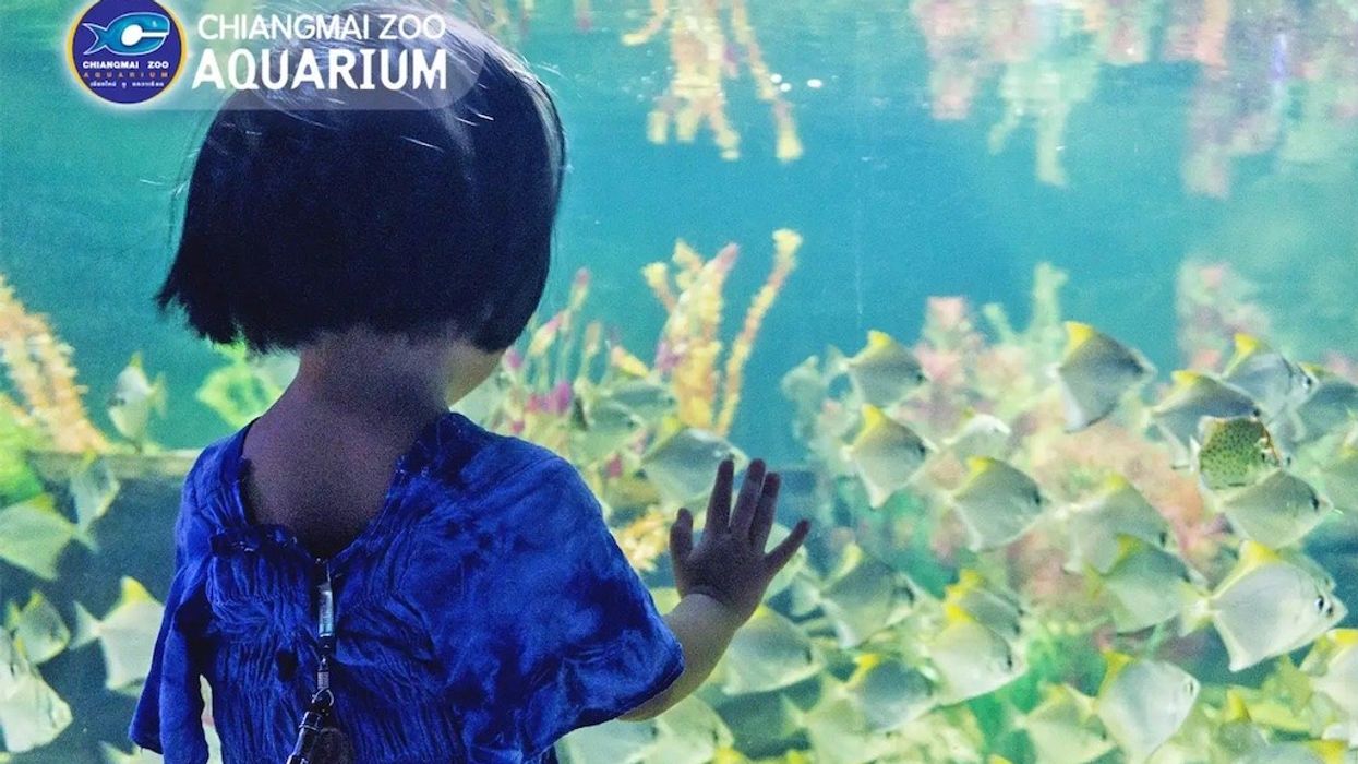 Chiang Mai Zoo Aquarium