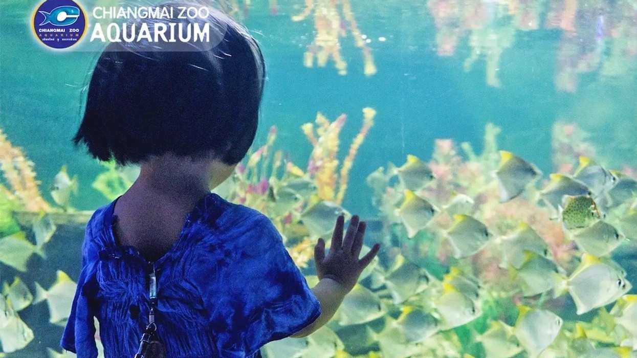 Chiang Mai Zoo Aquarium