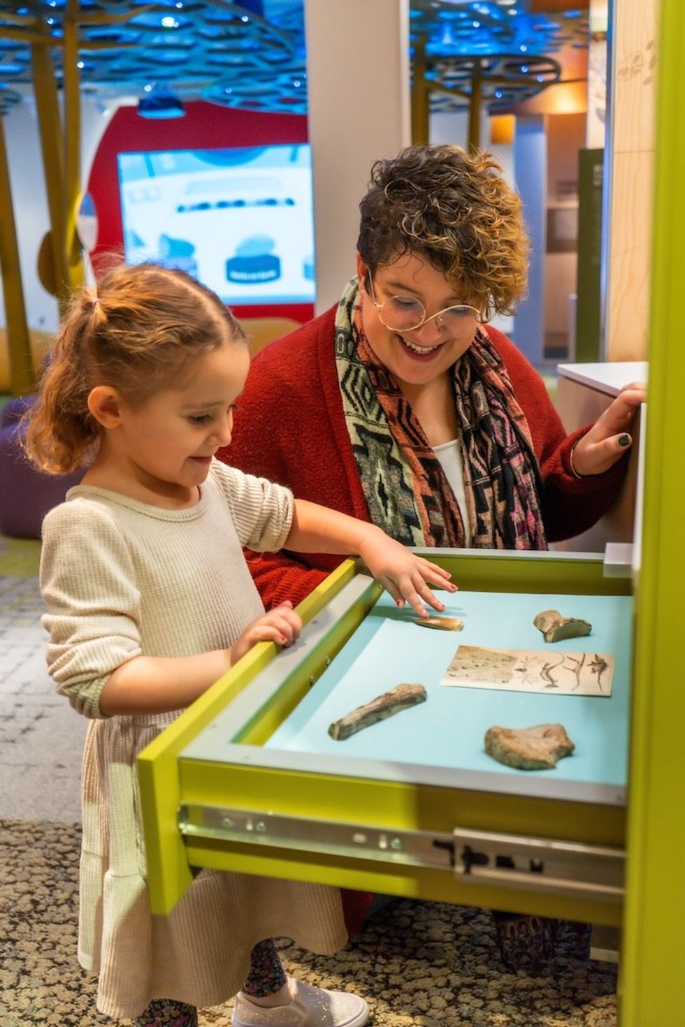 Child and adult exploring bones in a museum exhibit drawer.