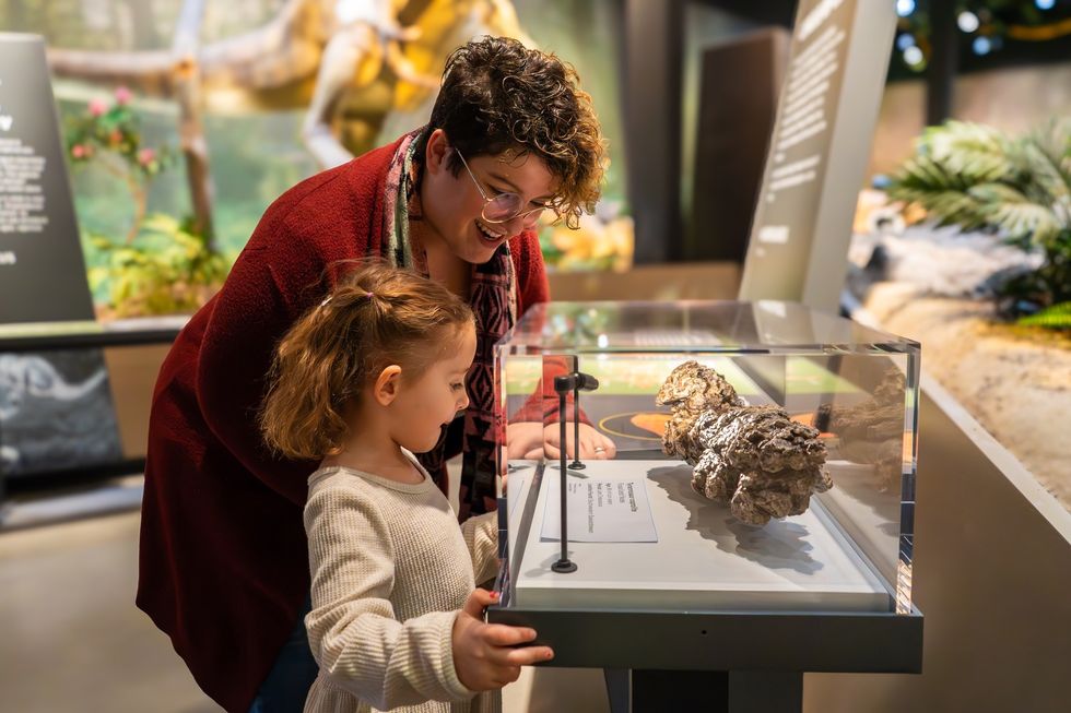 Child and adult observing a museum exhibit behind glass.