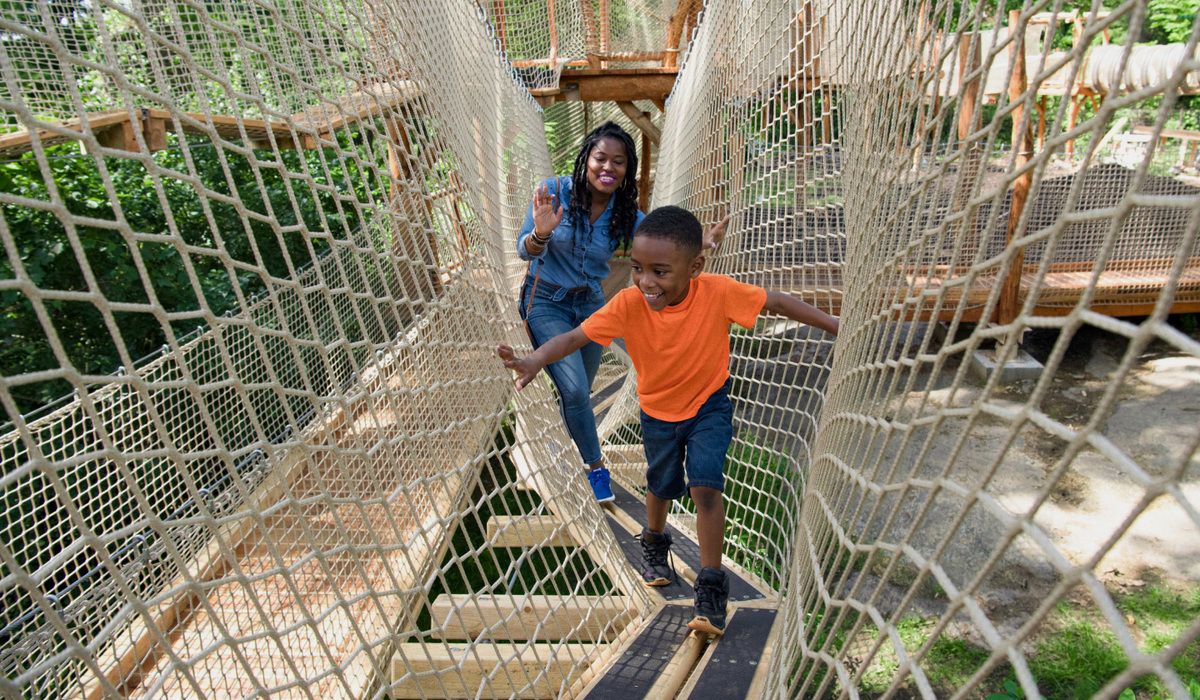 Child and adult on a netted rope bridge, surrounded by trees and foliage.