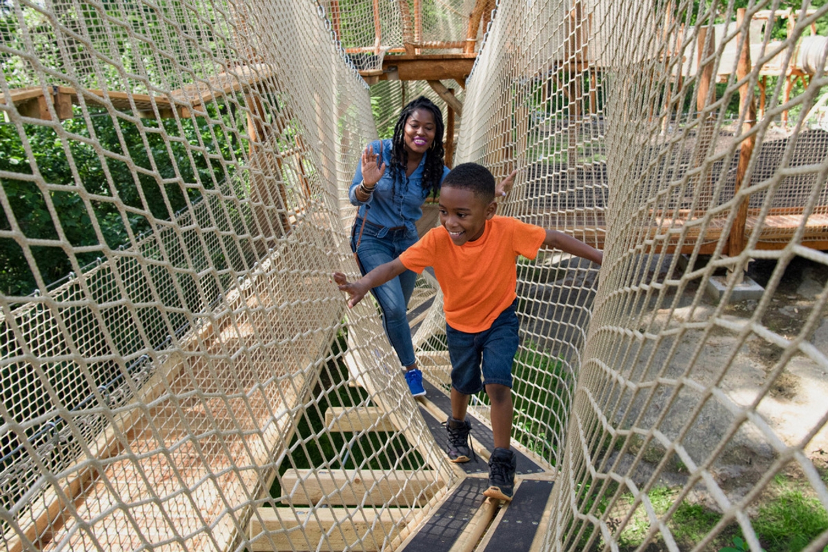 Child and adult on a netted rope bridge, surrounded by trees and foliage.