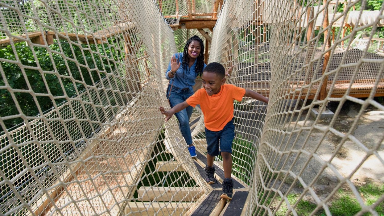 Child and adult on a netted rope bridge, surrounded by trees and foliage.