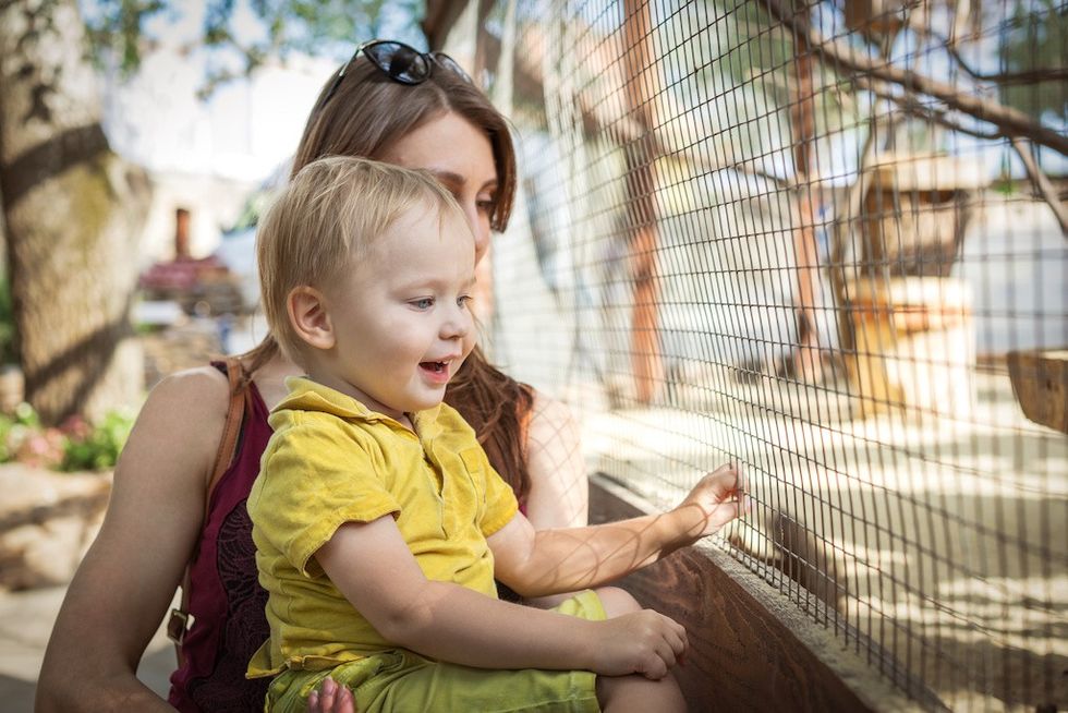 Child and woman looking through a wire fence at a zoo