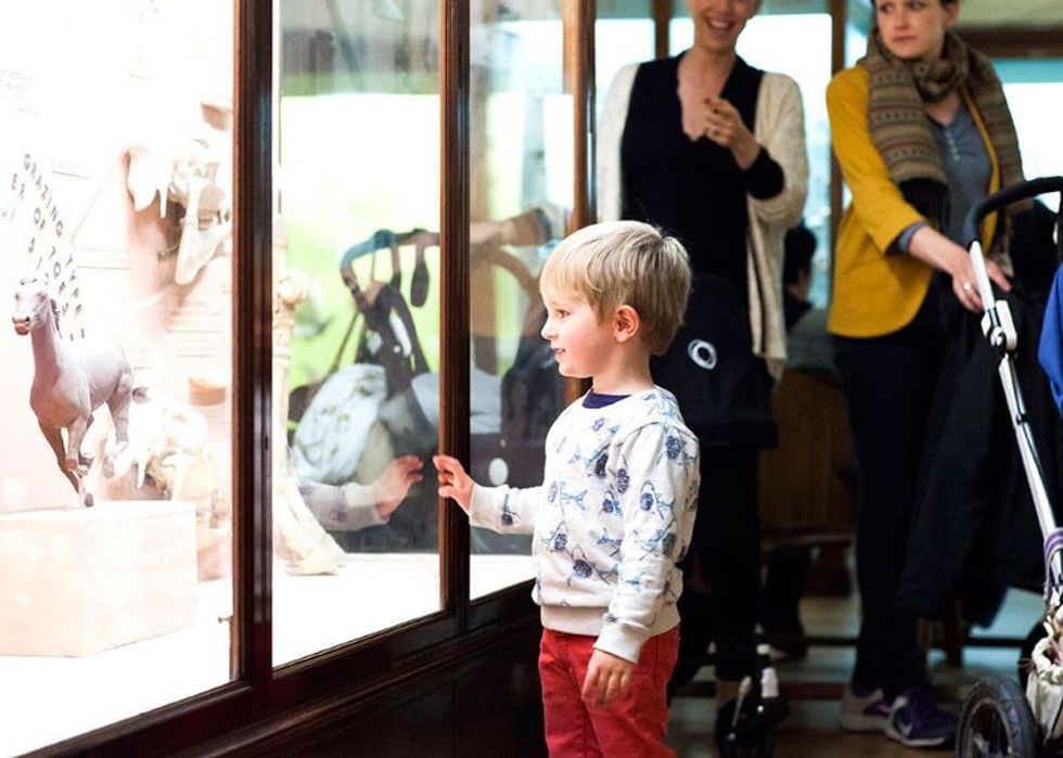 child at exhibition case at horniman museum