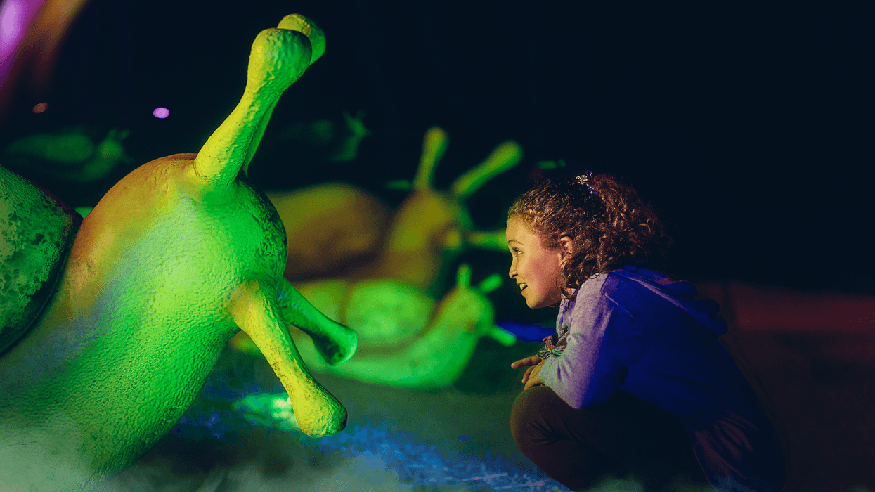 Child gazing at large, colorful, glowing snail sculptures in a dark setting.
