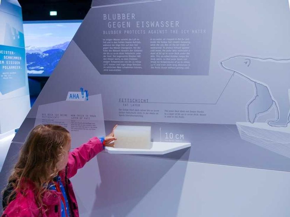 child interacts with polarium exhibition at zoo rostock