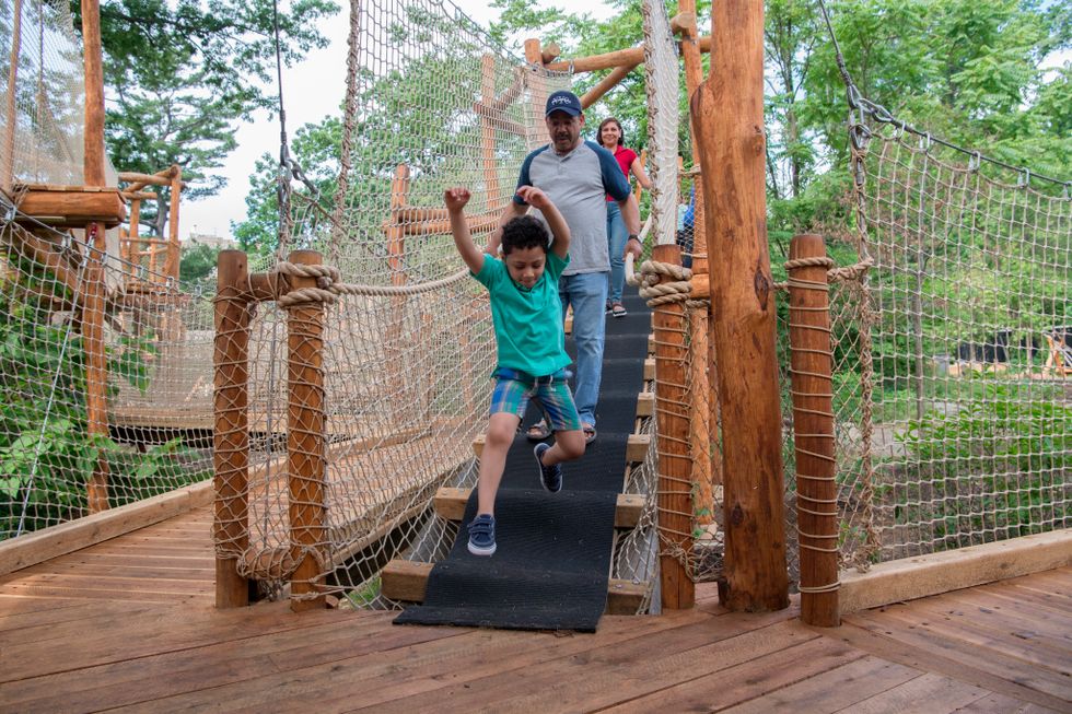 Child jumping off a wooden bridge, followed by adults, in a treetop adventure park.