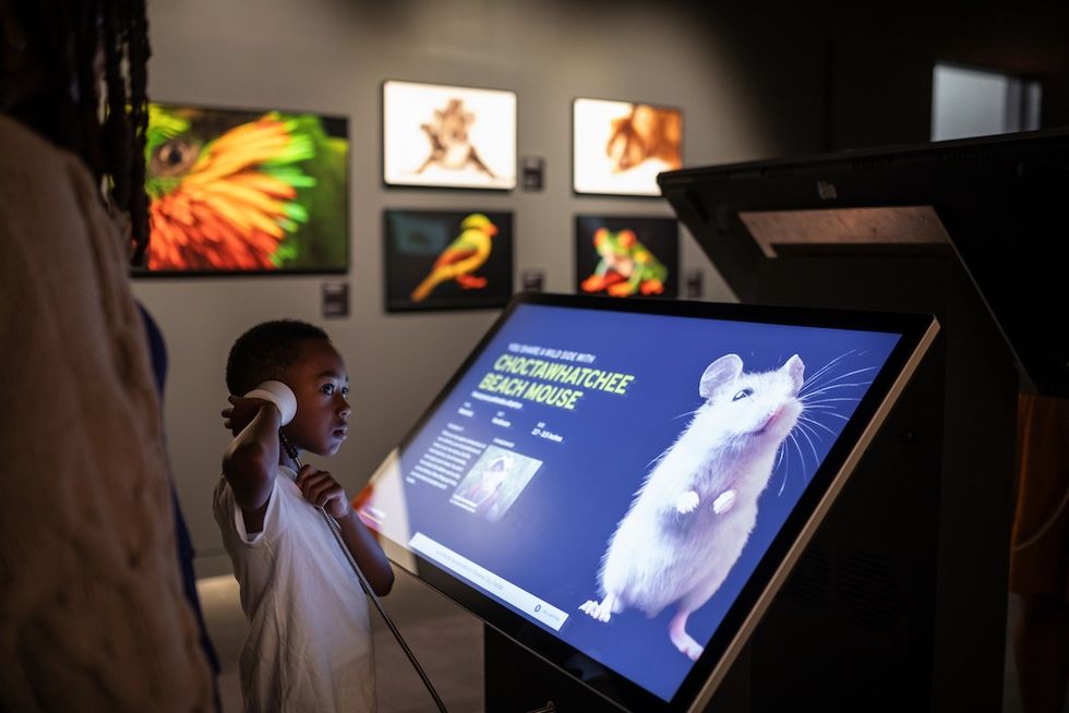 Child listens to exhibit audio guide beside a touchscreen showing a mouse image.