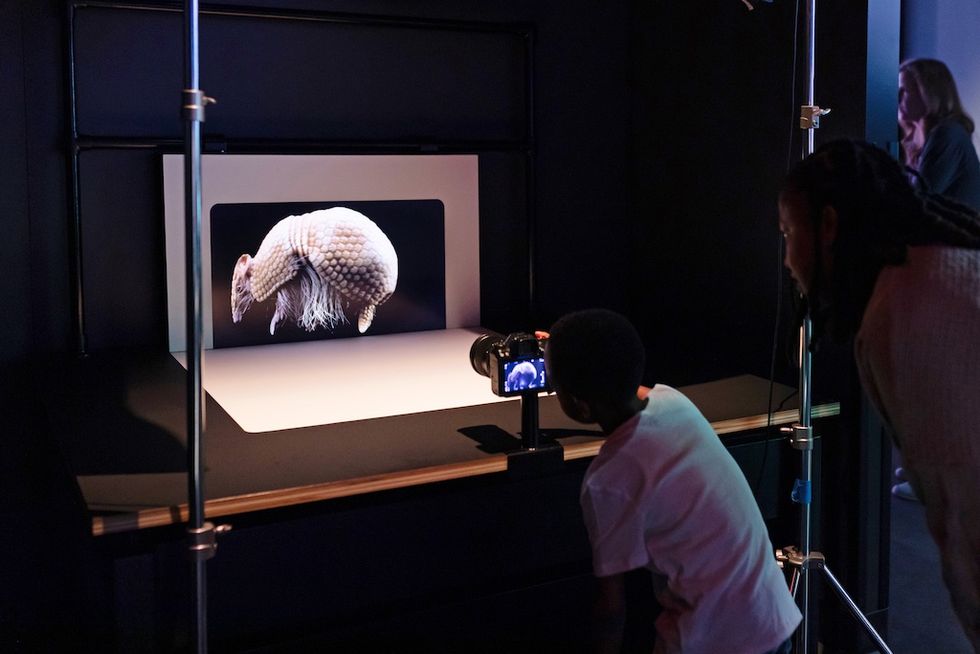 Child views an armadillo on a screen through a camera in a dark room setup.