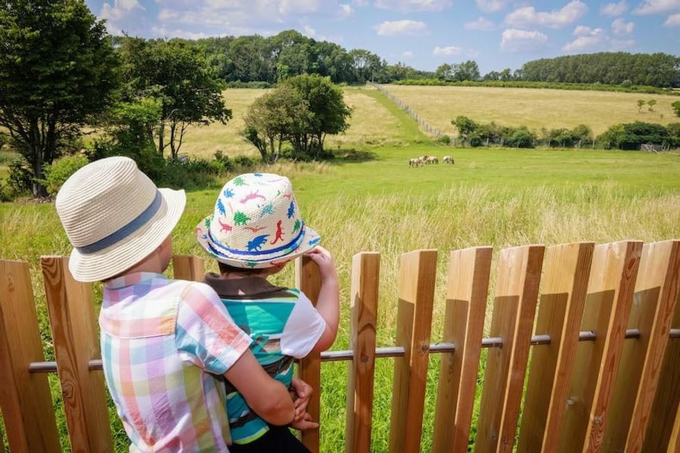 Children enjoy a day out at Marwell Zoo staycation