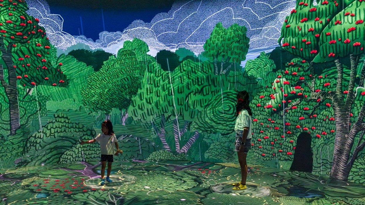 Children interacting with a colorful, immersive digital forest art installation.
