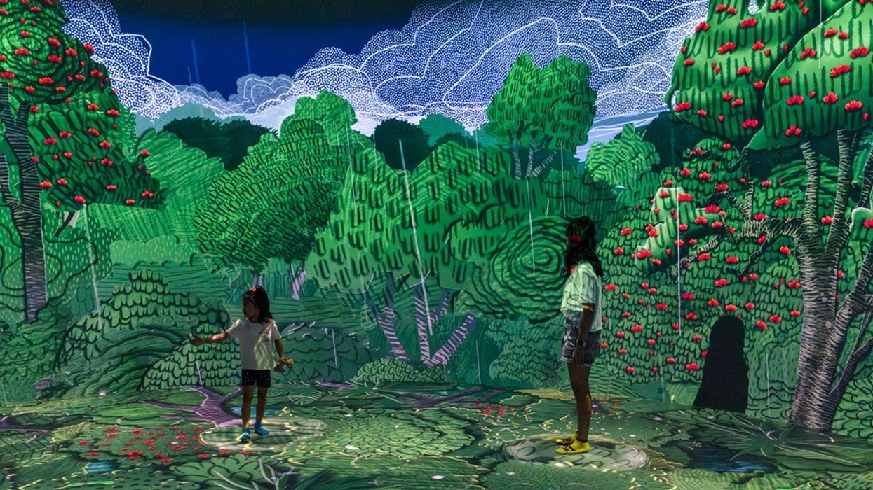 Children interacting with a colorful, immersive digital forest art installation.