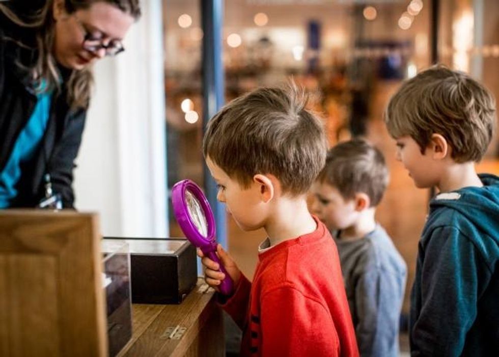 children looking at an exhibition at Horniman Museum