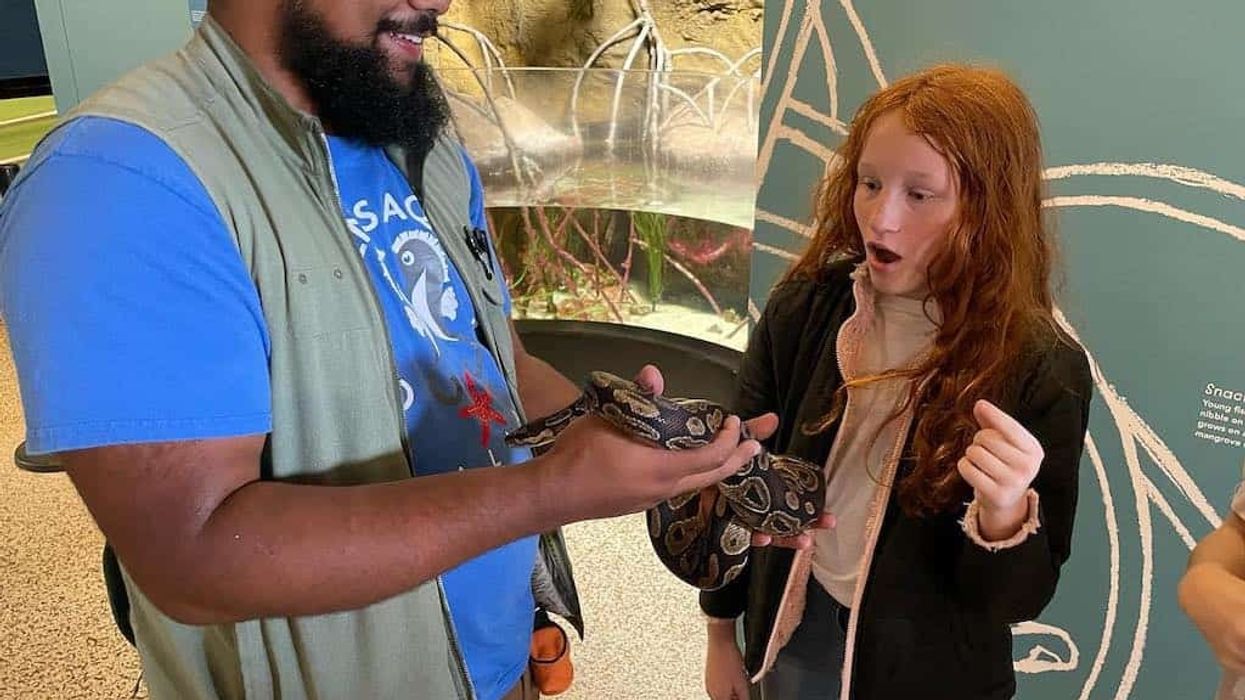 Children's Aquarium Dallas staff member shows snake to young visitor