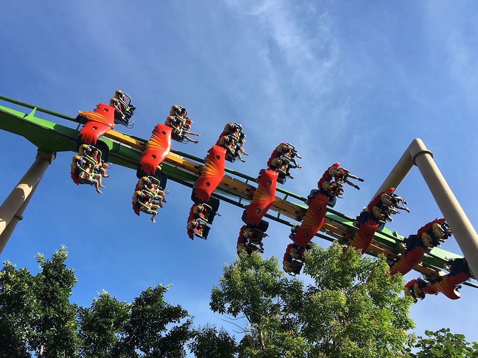 chimelong rollercoaster