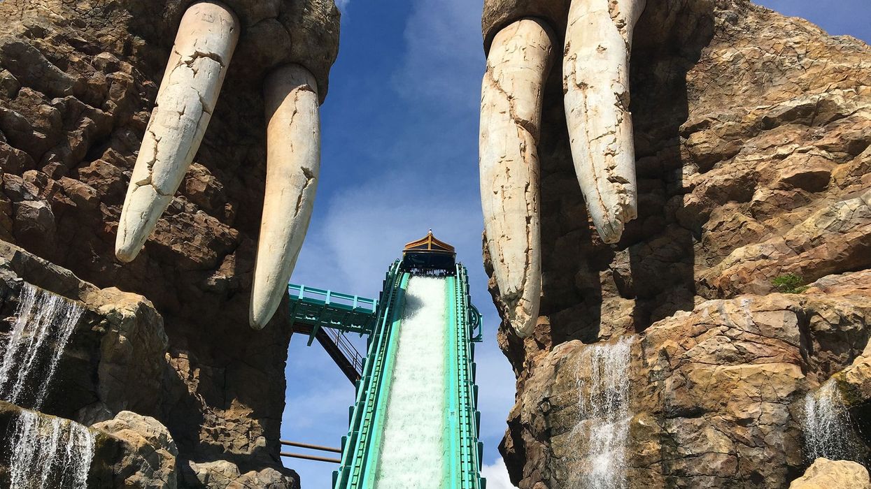 Chimelong tusks