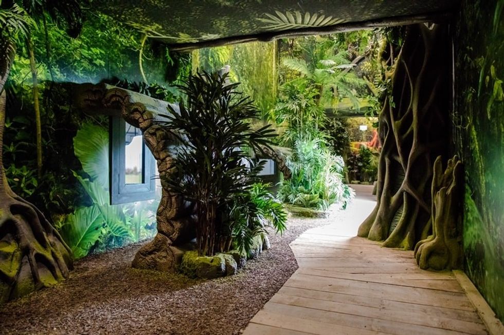 Chimpanzee Eden at Twycross Zoo.