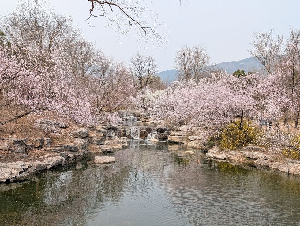 China National Botanical Garden