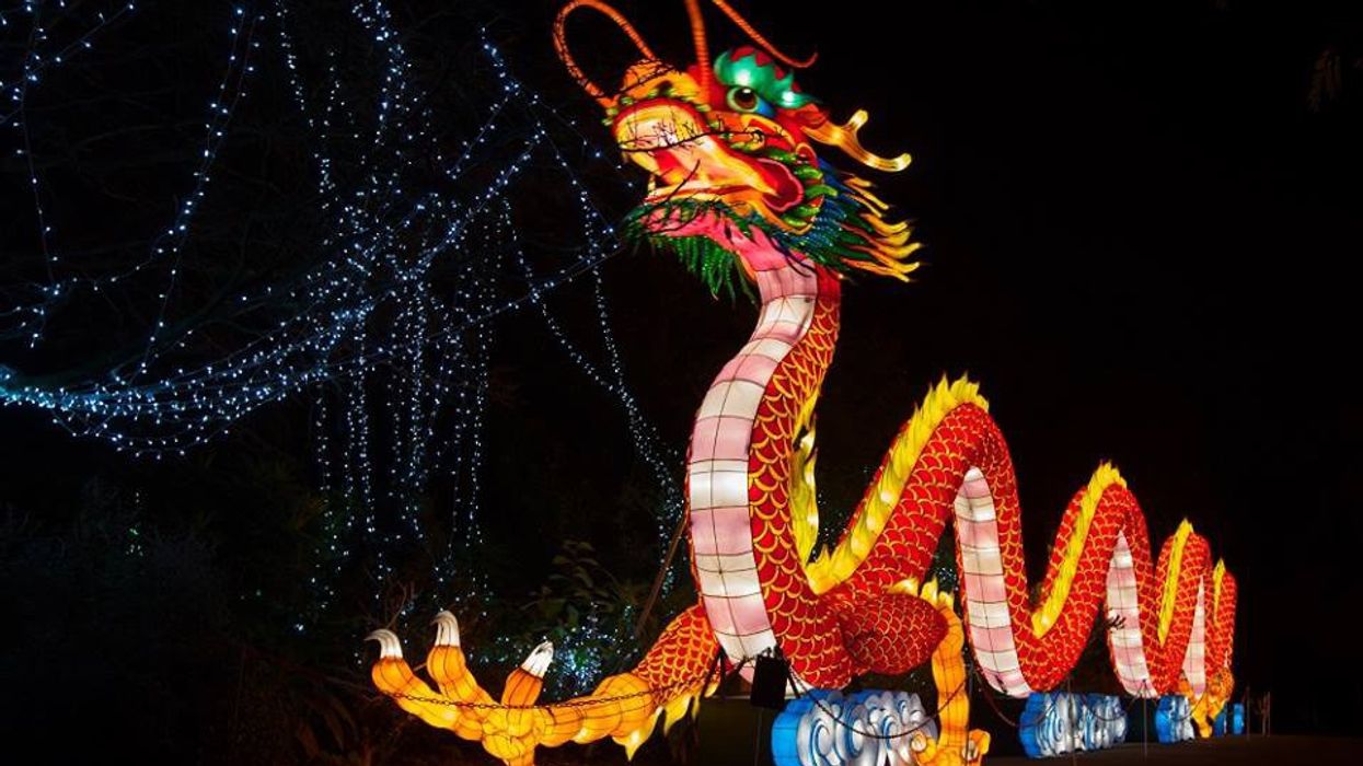chinese dragon Dublin Zoo Ireland
