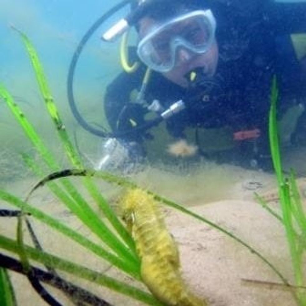 Chris Brown Sydney SEA LIFE