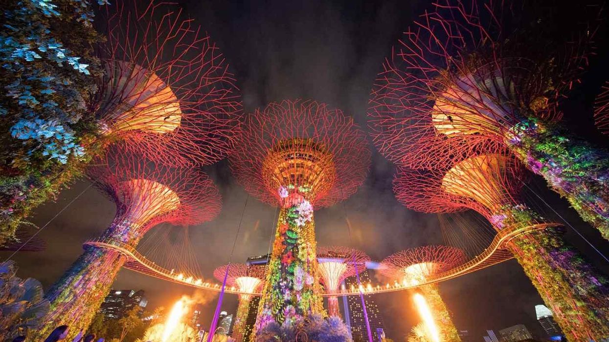 Christie illuminates Gardens of the Bay spectacular, Singapore