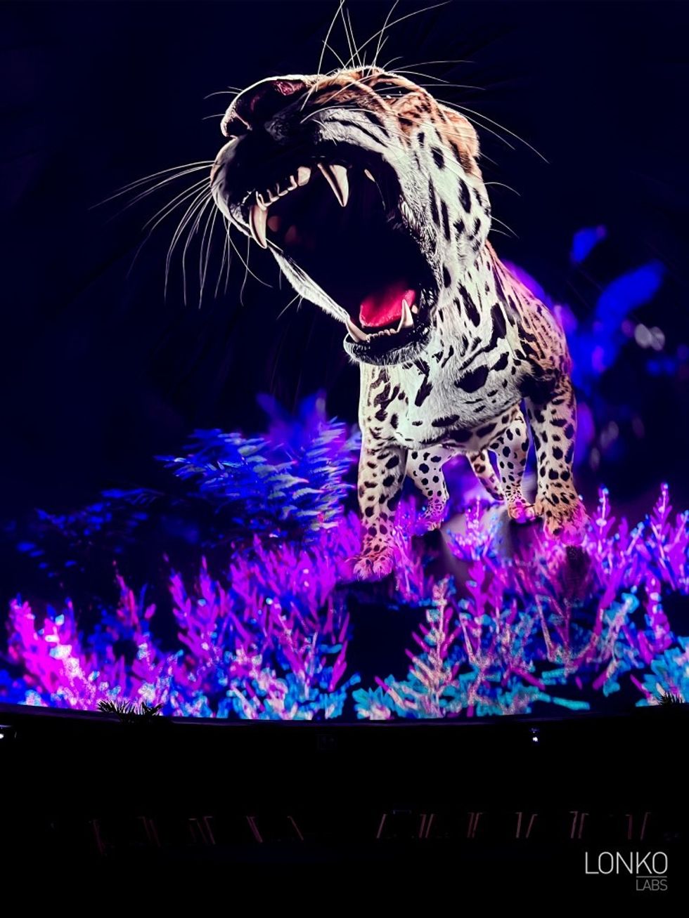 Christie La Selva 3D animation courtesy Lonko Labs