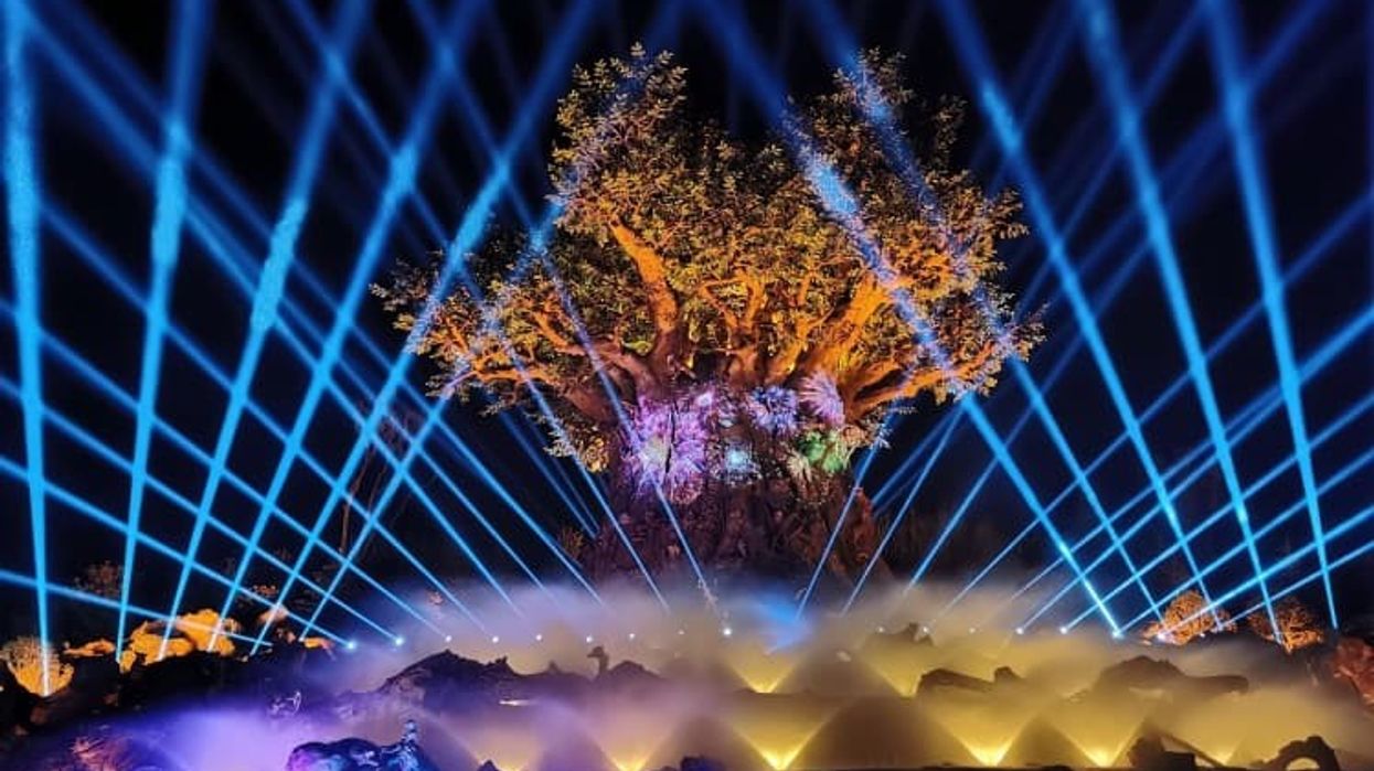 Christie Yinji Animal Kingdom Tree of Life