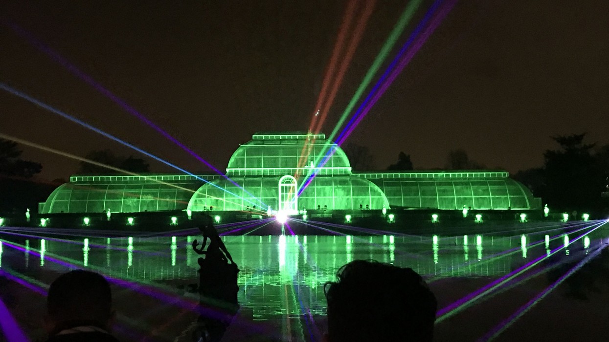 Christmas at Kew Lasers Greenhouse