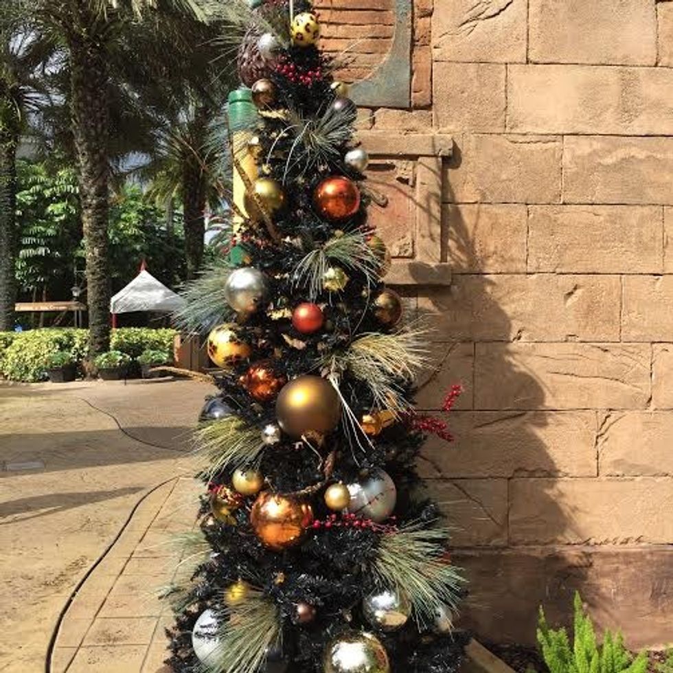 Christmas Tree at Busch Gardens Tampa
