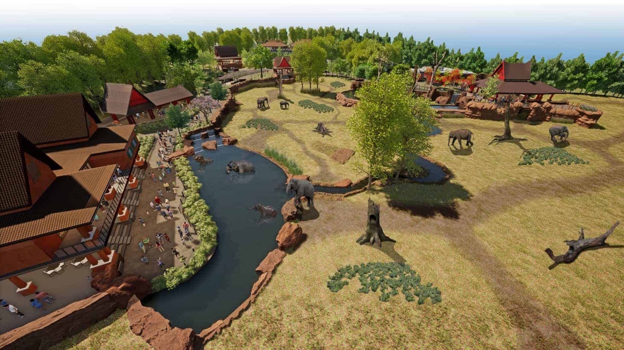 cincinnati zoo elephant trek