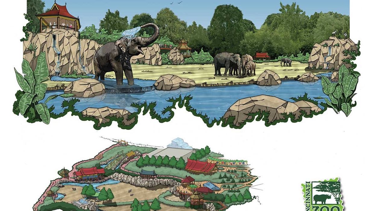 Cincinnati Zoo Elephant Trek