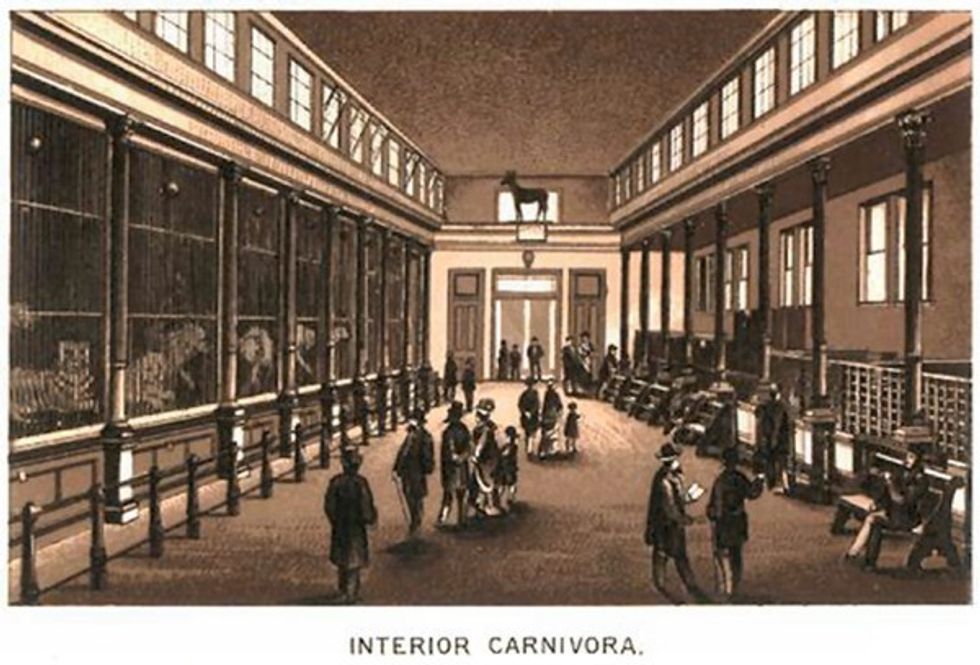 Cincinnati Zoo Interior Carnovora