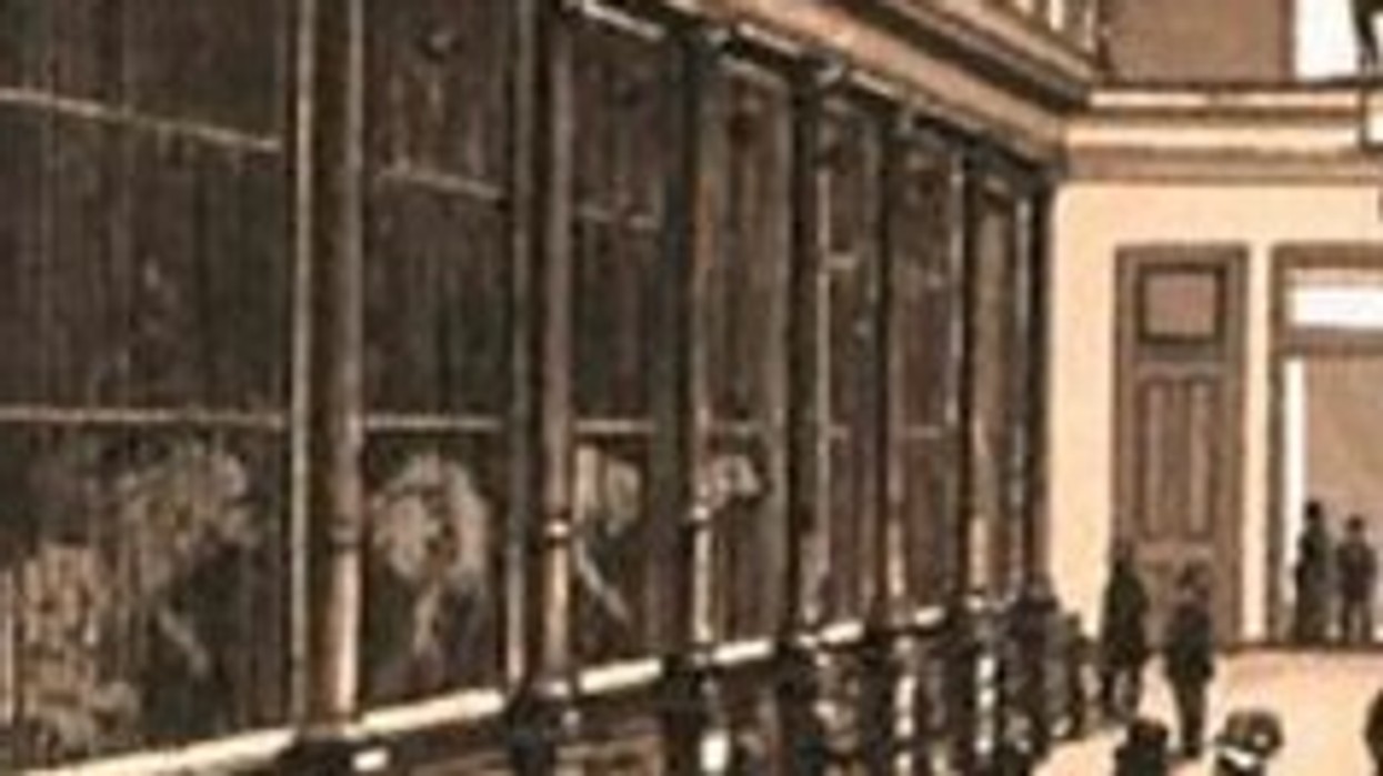 Cincinnati Zoo Interior Carnovora