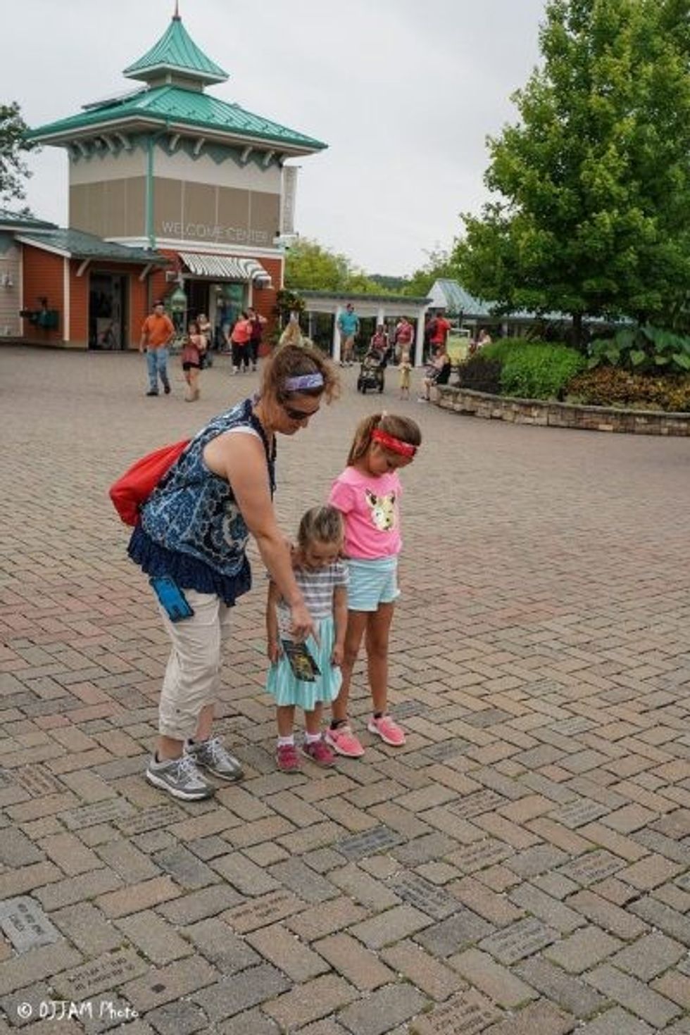 cincinnati zoo pavers