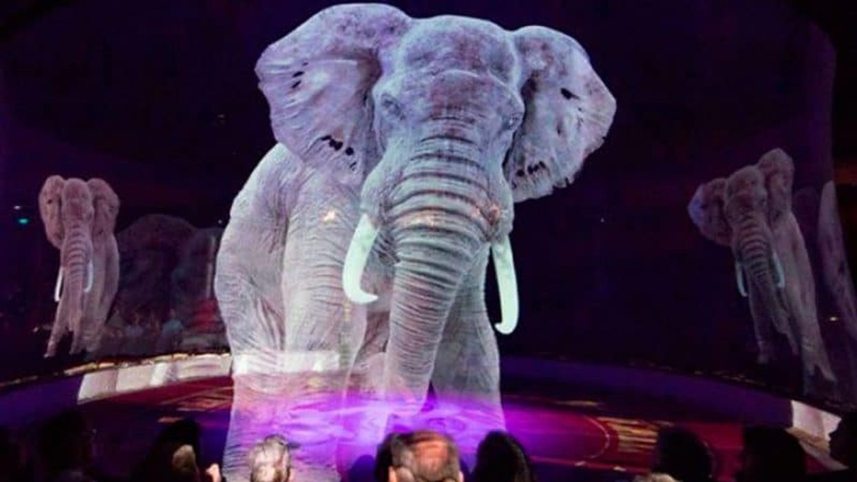 circus roncalli
