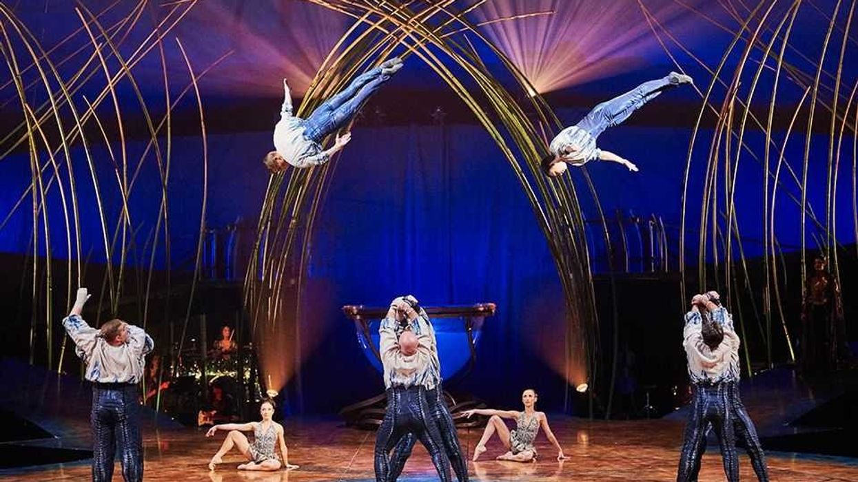 cirque du soleil entertainment group amaluna moellenberg