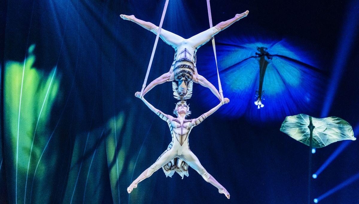 ​Cirque du Soleil OVO - Acrobats performing a balance act midair in an illuminated circus setting.