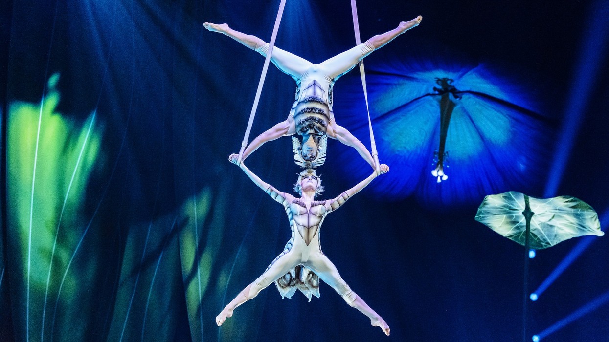 Cirque du Soleil OVO - Acrobats performing a balance act midair in an illuminated circus setting.