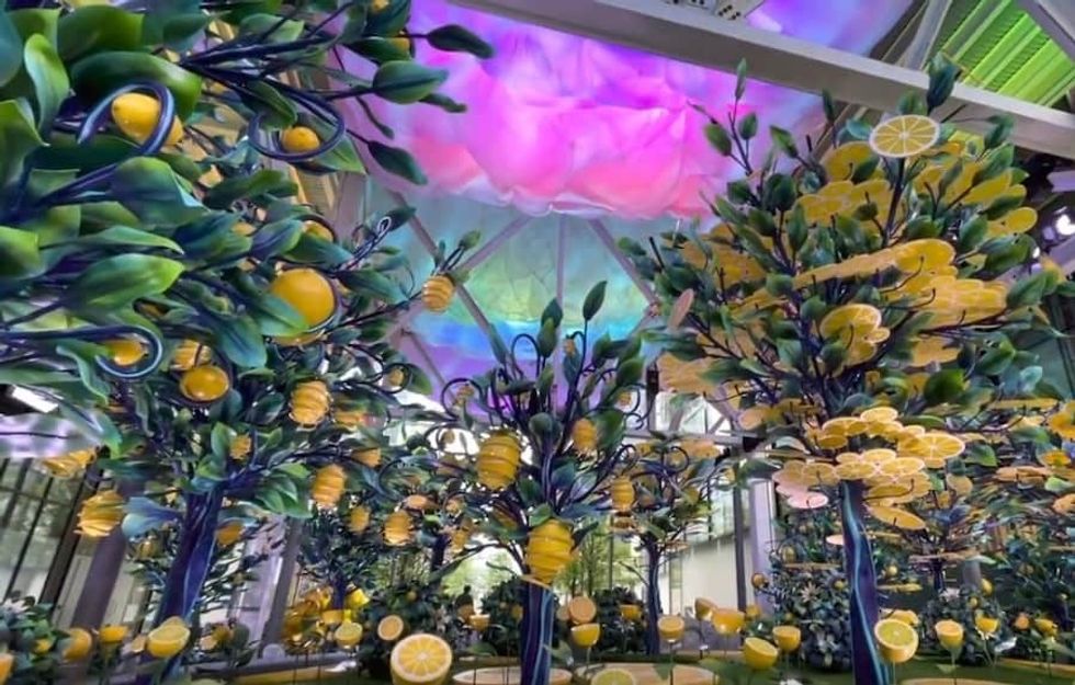 Citrovia New York Adirondack