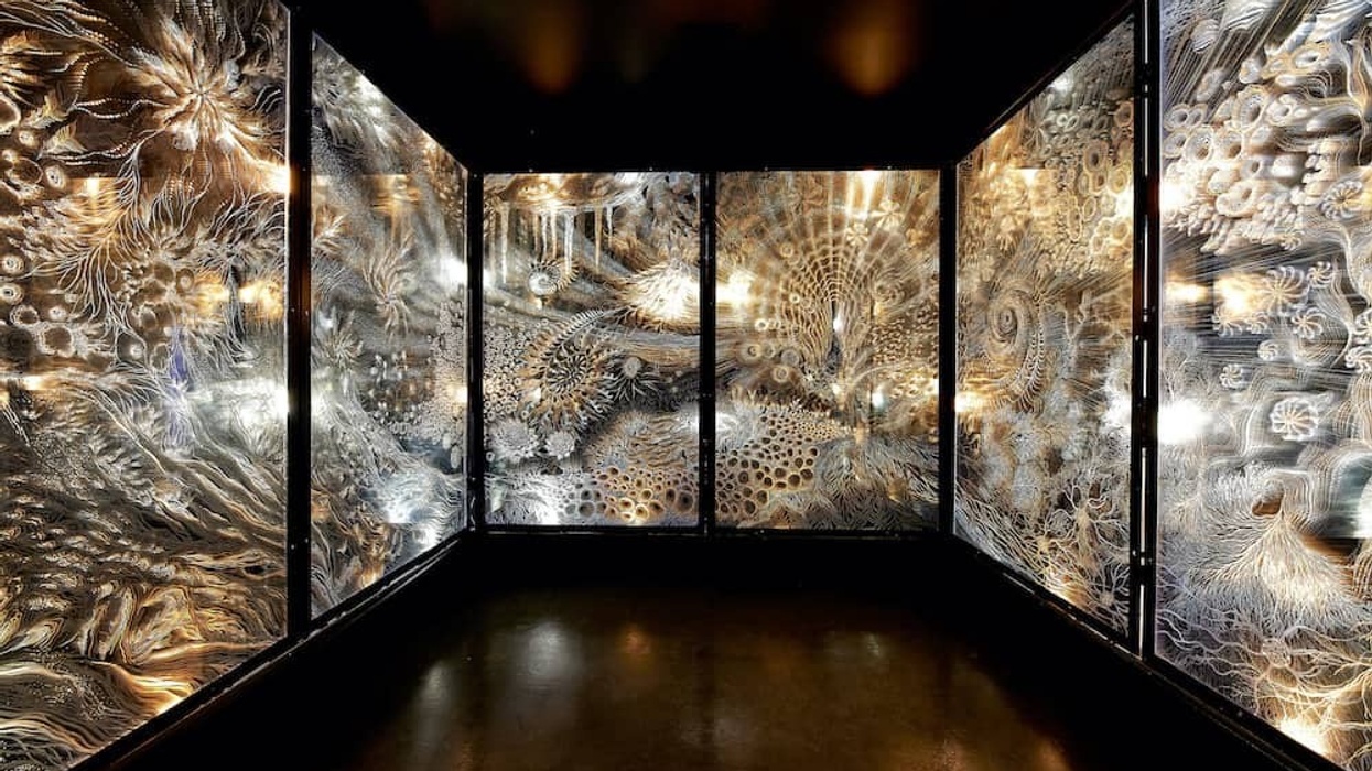 Claudia Bueno featured at Meow Wolf’s Omega Mart in Las Vegas immersive art experiences